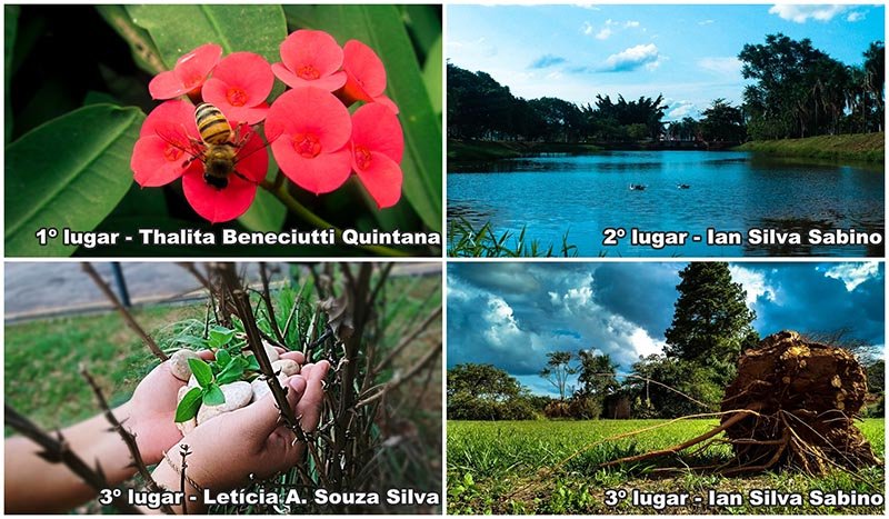 Divulgados vencedores de concurso de fotos sobre meio ambiente