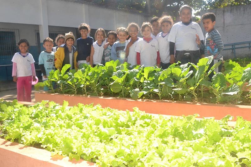 Horta ajuda no relacionamento e educação de alunos