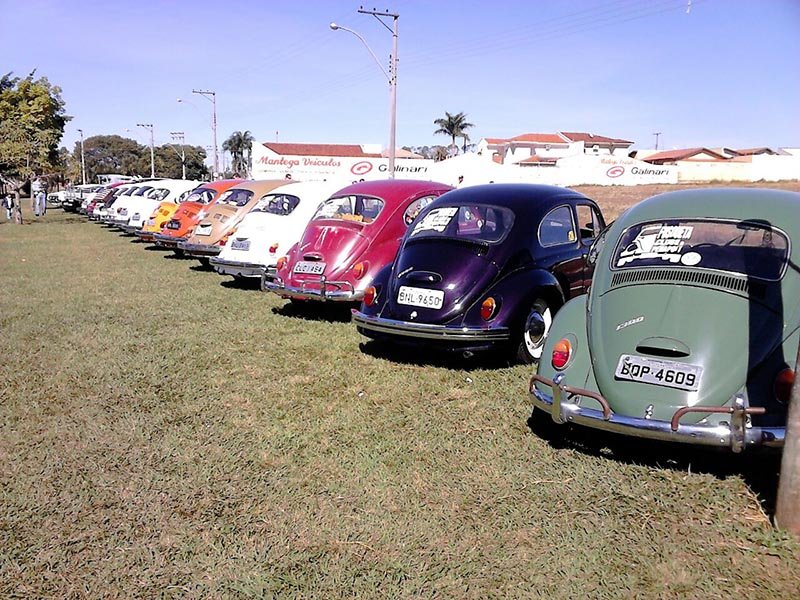 Fusqueta Clube de Penápolis exibe automóveis no parque Santa Leonor