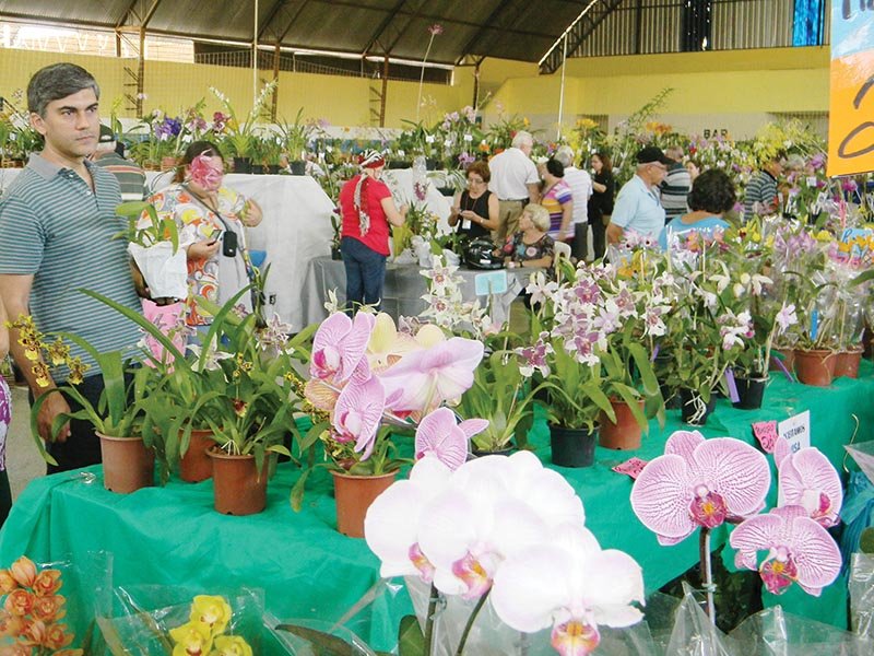 Penápolis realiza a 41ª Exposição Nacional de Orquídeas