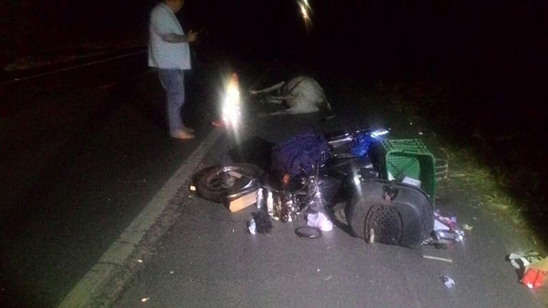 Homem morre após bater moto em animal na rodovia