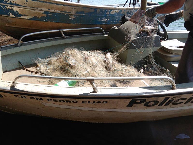 Pescadores profissionais são multados por irregularidades