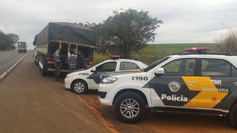 Mais de 500 kg de maconha são apreendidos em rodovia