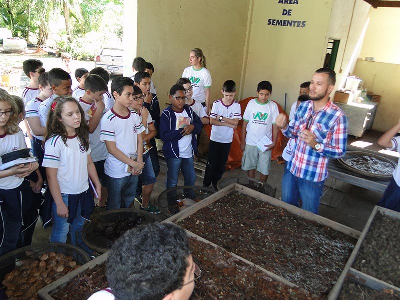 Educação: Atividades celebram, em Penápolis, o Dia da Árvore