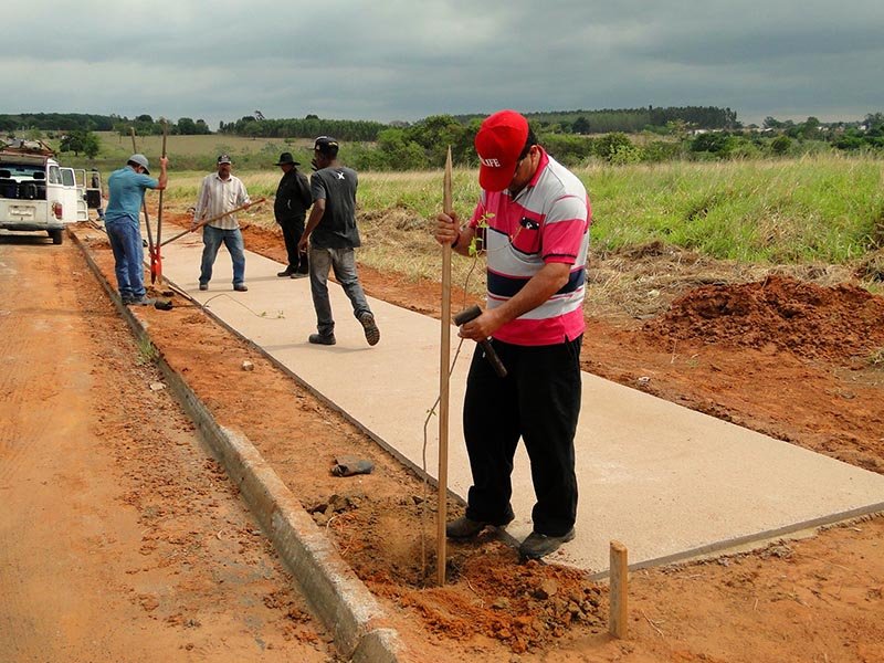Município Verde Azul: Projeto Piloto cria calçada ecológica