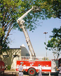 PODA