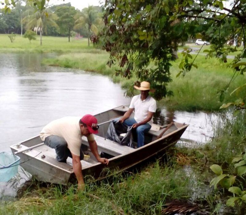Prefeitura executa limpeza na lagoa do Parque Maria Chica