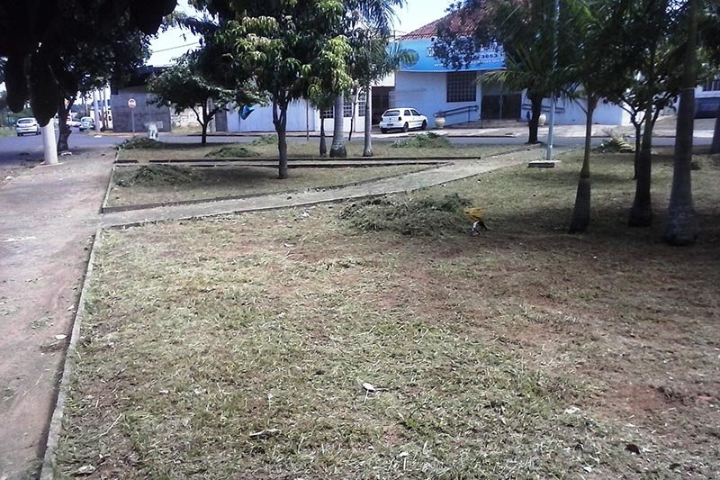 Agricultura atua em diversas frentes de trabalho