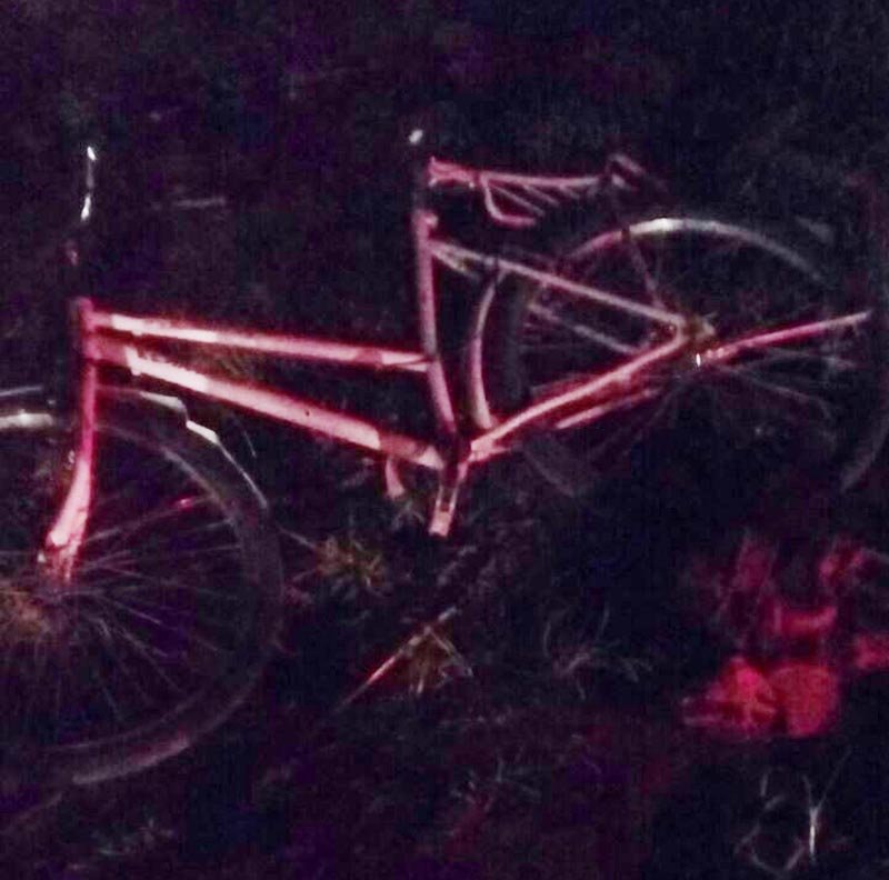 Fatalidade: Mulher morre atropelada ao tentar atravessar rodovia