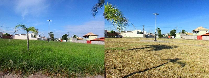 Força Tarefa: Equipes atuam na limpeza de diversas regiões da cidade