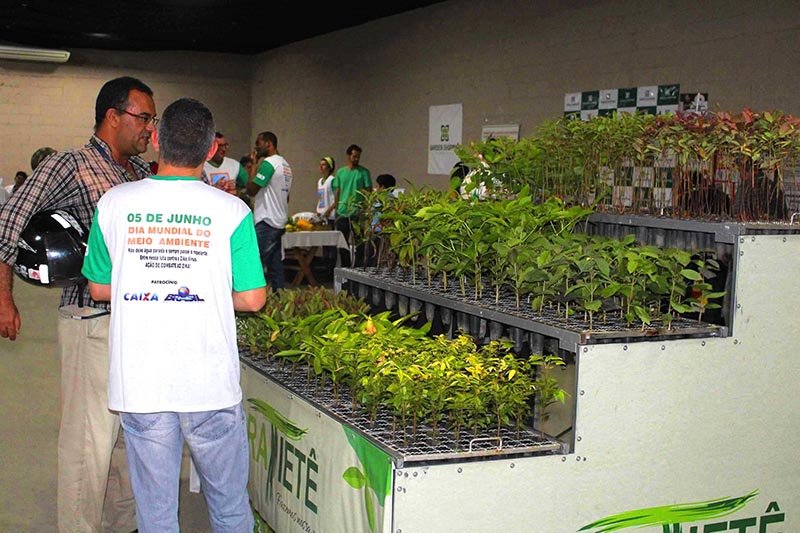 Dia do Meio Ambiente: Atividades comemorativas reúnem centenas de pessoas