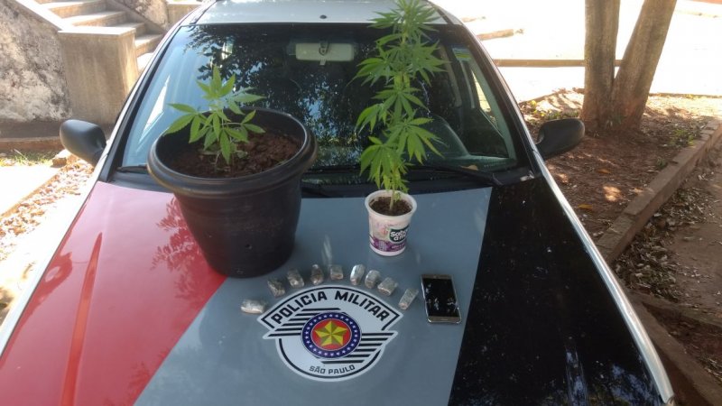 Jovem é presa com maconha e vasos da erva plantada
