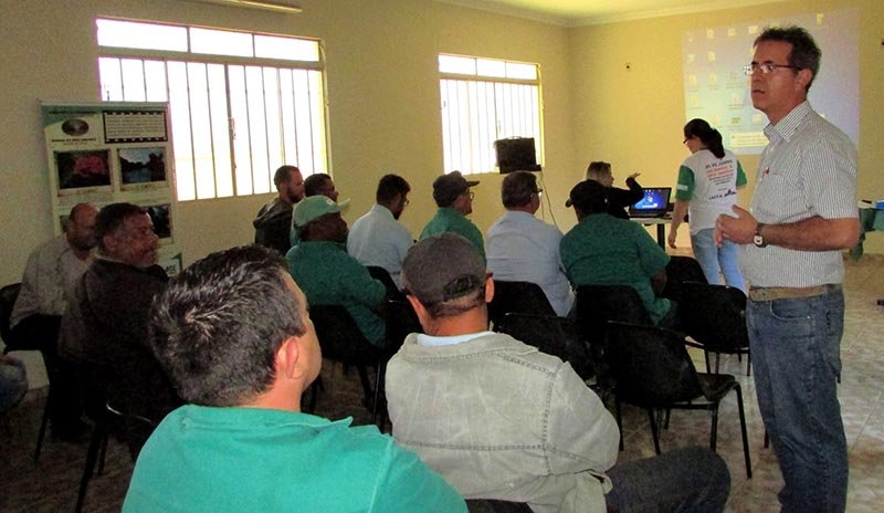 Profissionais participam de capacitação gratuita para poda de árvores