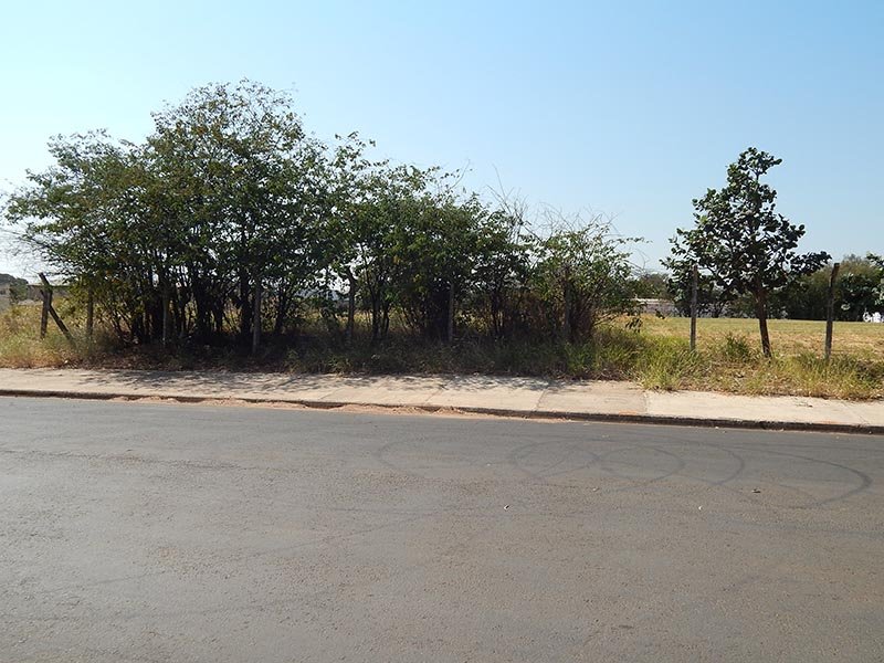 Câmara cobra retomada de terrenos sem construção de empresas no Parque Industrial