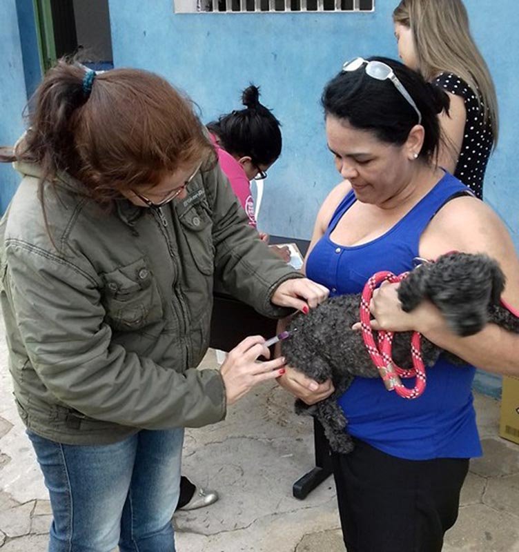 Vacinação contra Raiva Animal começa amanhã