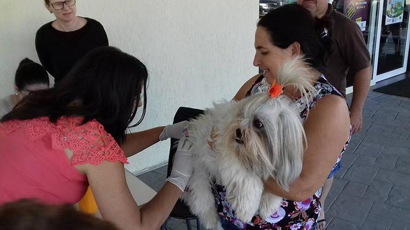 Saúde já vacinou mais de 5 mil animais contra raiva