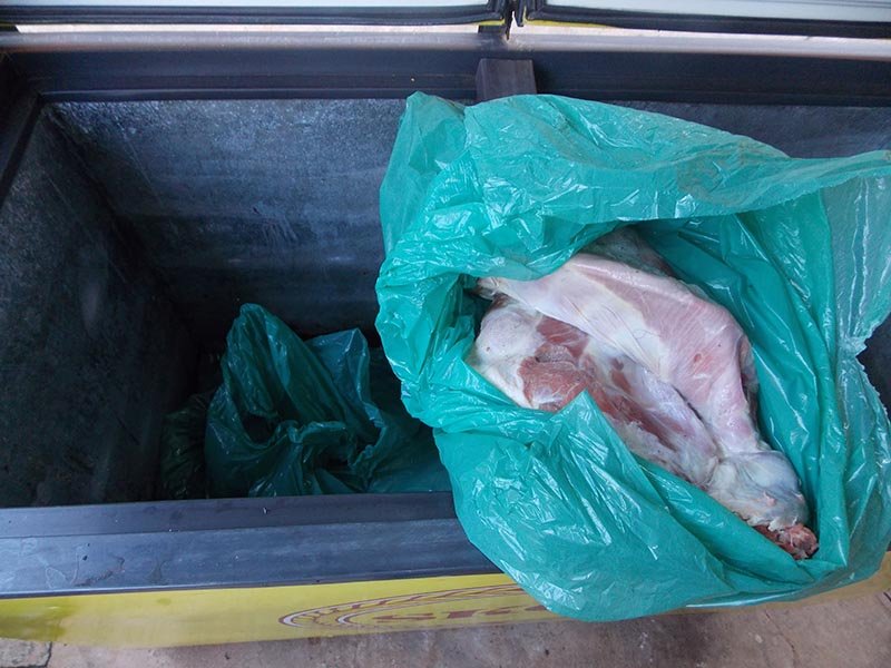 Suposta carne de cordeiros furtados é encontrada
