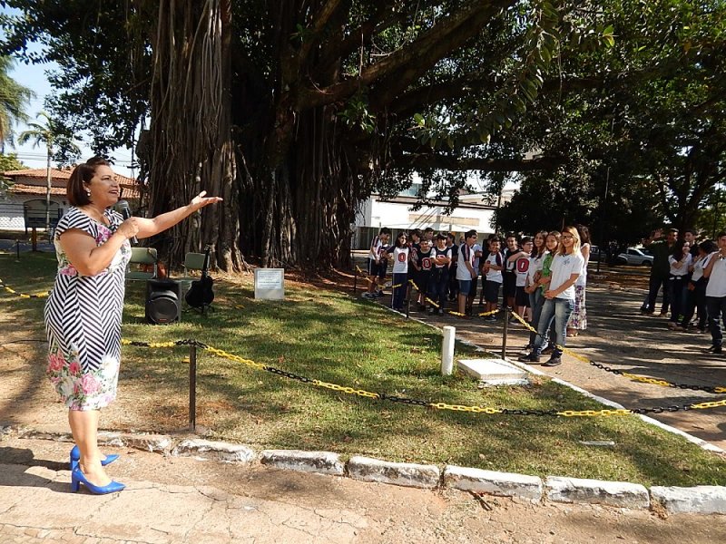 Vereadora Ester destaca árvore plantada em 1947 na frente da Escola Carlos Sampaio Filho