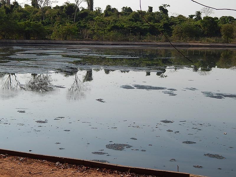 Câmara: Vereador cobra desassoreamento da lagoa de tratamento