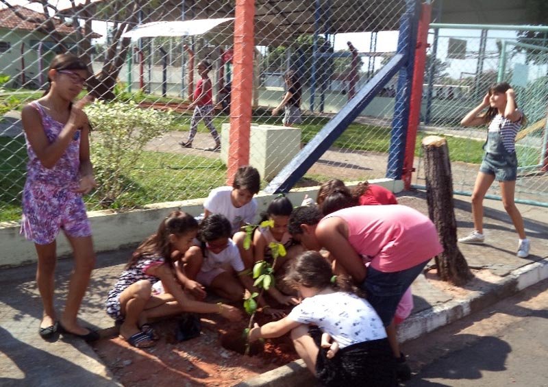 Projeto espaço árvore atende diversos pontos de Penápolis