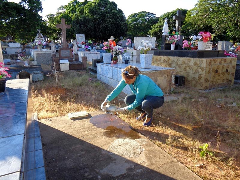 Finados: Vigilância orienta visitantes sobre cuidados com Aedes aegypti 