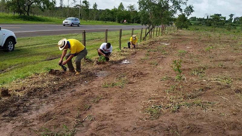 CIRL e Rotary finalizam parceria para recuperação de nascente
