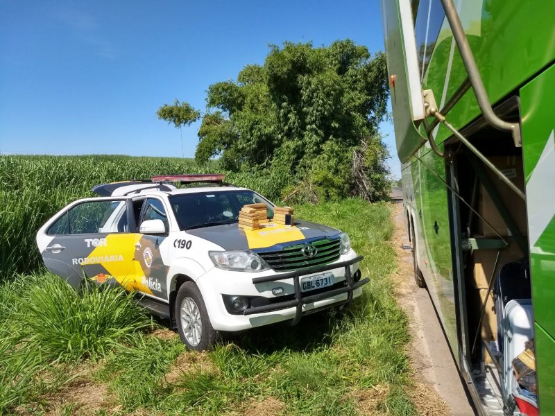TOR apreende 17 tijolos de maconha em rodovia