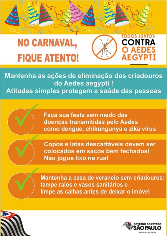 Carnaval também é época de combater o Aedes