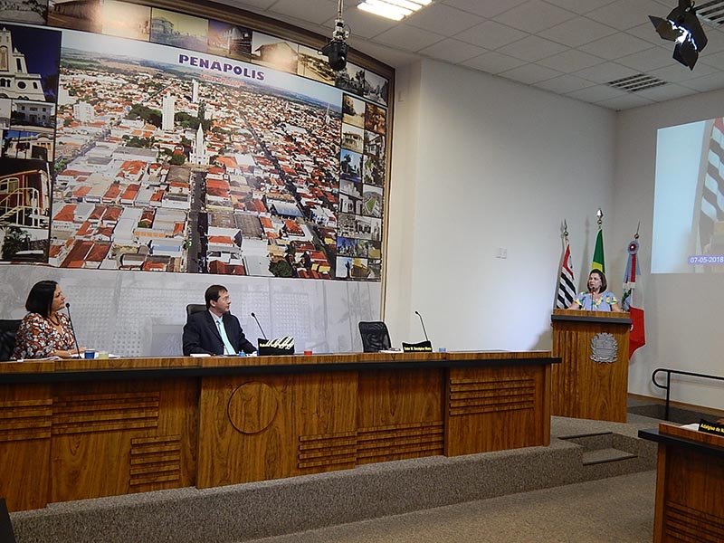 Câmara busca informações para o projeto 