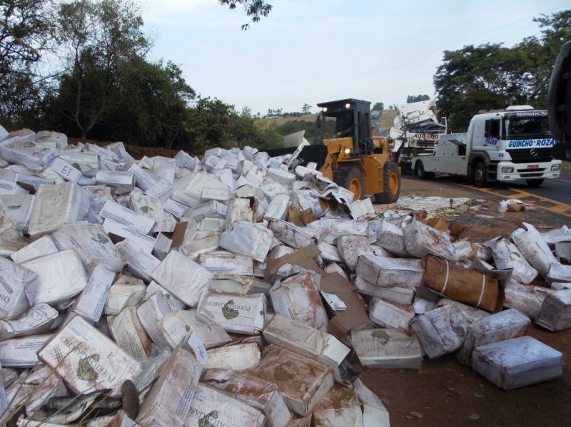 Caminhão carregado com peixes se choca contra barranco