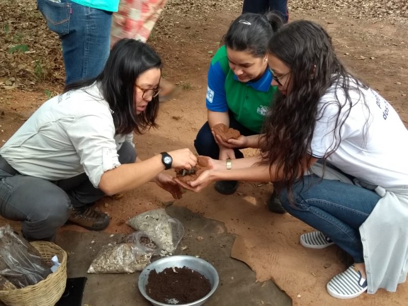 Semana do Meio Ambiente envolveu a comunidade escolar