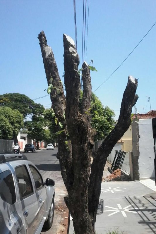 Detalhes Notícia