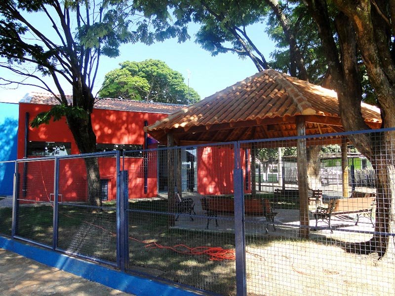 Detalhes Notícia