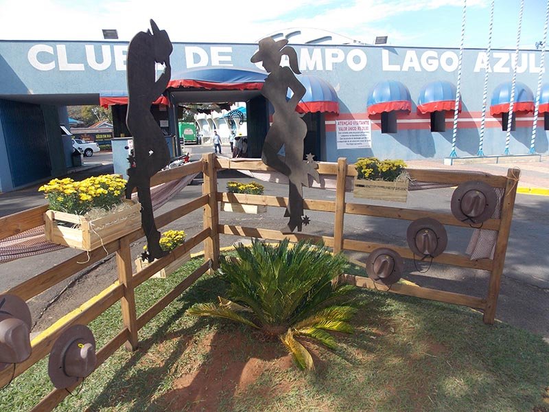 Detalhes Notícia