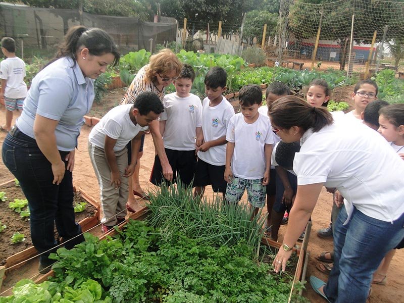 Agricultura Natural: Com programação especial, Daep comemora data com visita a hortas comunitárias