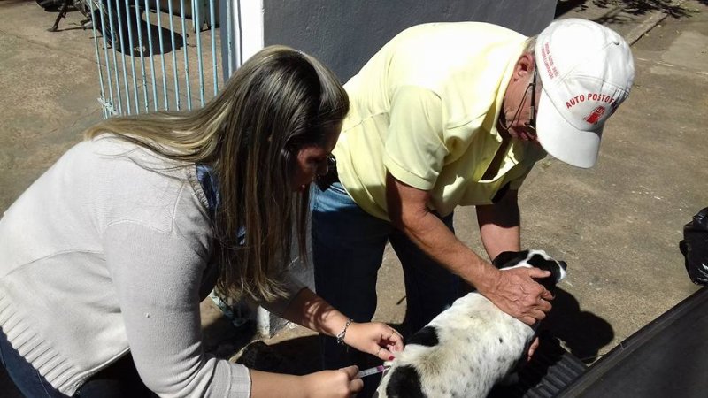 Animais: Campanha de vacinação contra raiva começa sábado