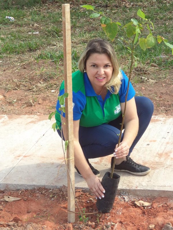 Dia da Árvore terá atividades envolvendo comerciantes da cidade