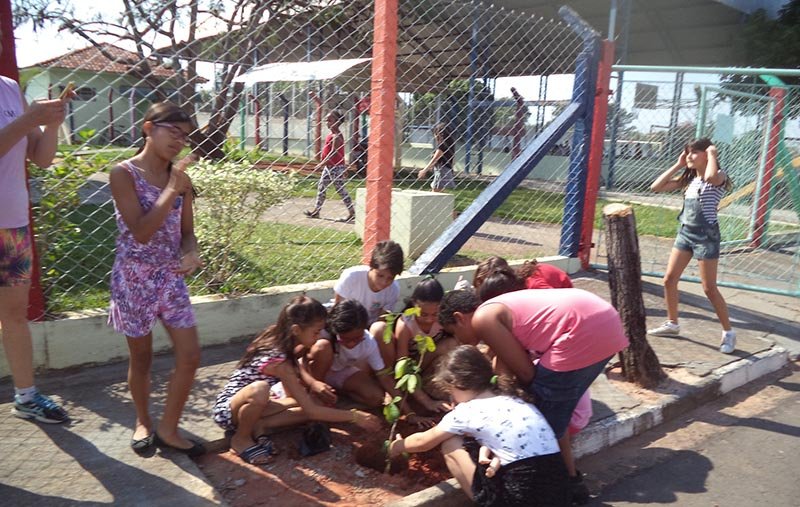 Dia da Árvore: Prefeitura e Daep convidam para celebrações hoje