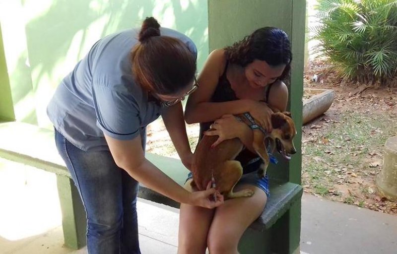 Animais: Hoje tem a segunda etapa da campanha de vacinação