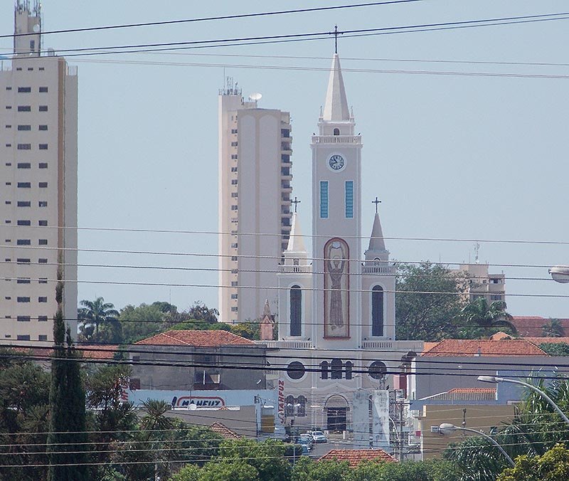 Católicos celebram hoje o dia de São Francisco de Assis