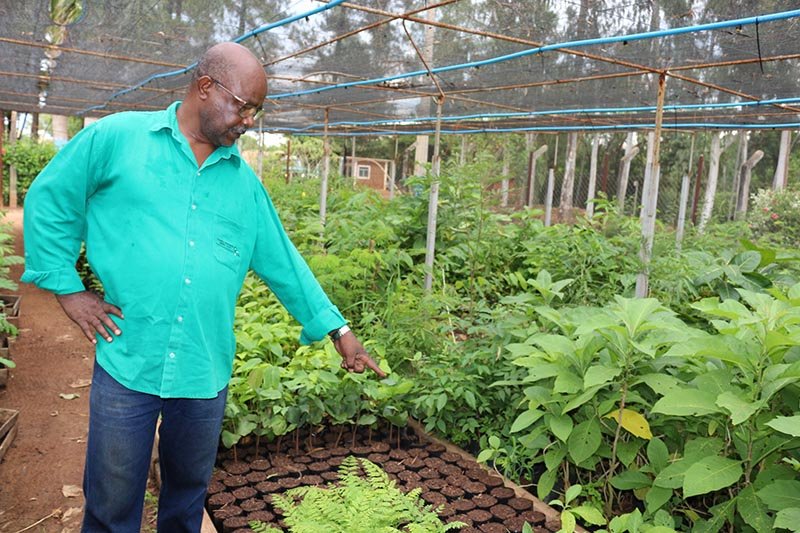 Irrigação: Viveiro de mudas tem melhoria no sistema