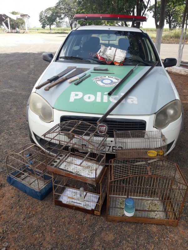 PM Ambiental flagra homens praticando caça ilegal