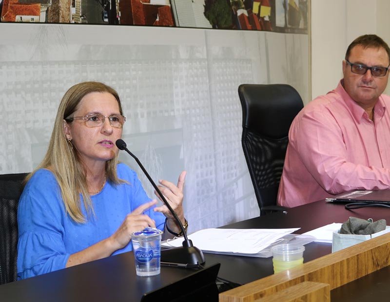 Câmara levanta informações sobre violência contra a mulher