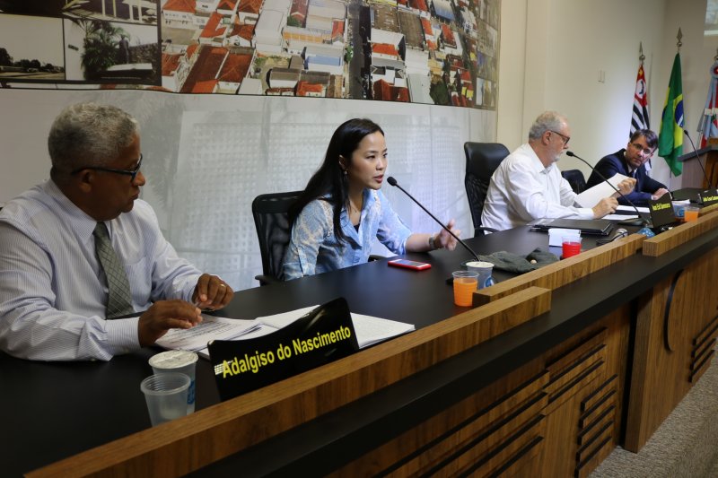 Câmara Municipal de Penápolis vota unificação de leis relacionadas à criança e adolescente