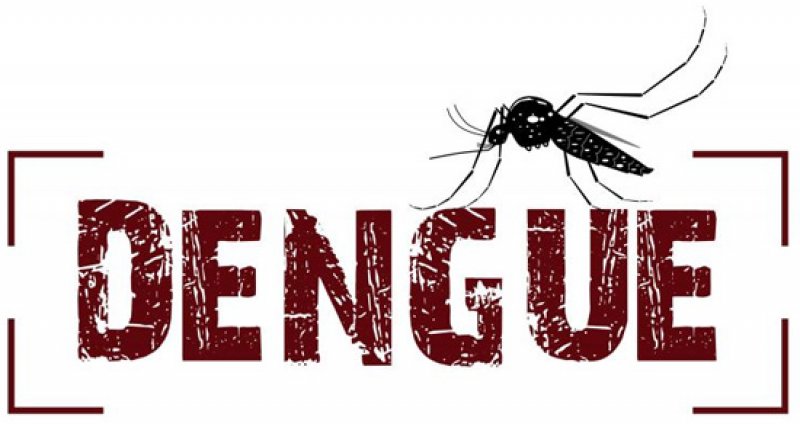 Atenção! Penápolis já vive epidemia de dengue
