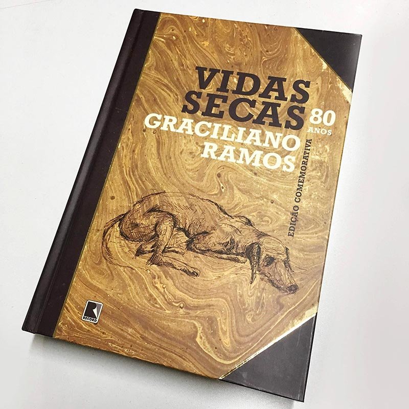 Dia 29 tem análise do livro 