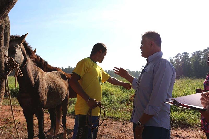 Vias Públicas: Força tarefa realiza apreensão de animais soltos
