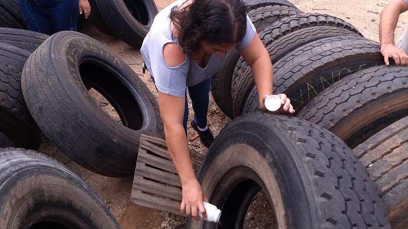 Casa a casa: Combate ao Aedes realiza novas ações preventivas