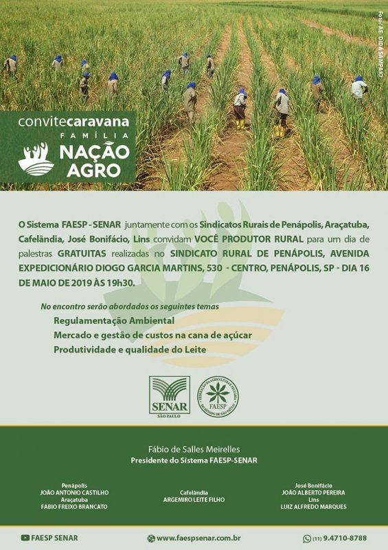 Detalhes Notícia