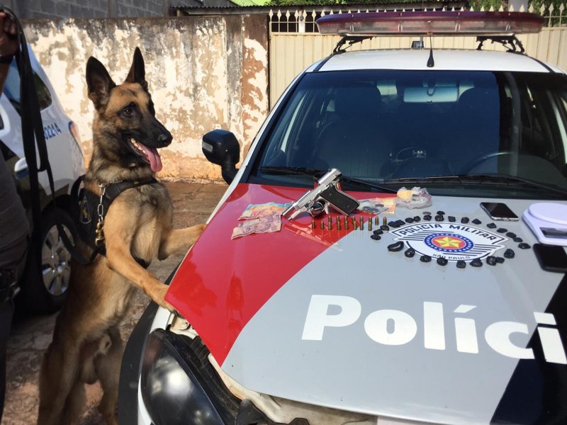 Com ajuda de cão farejador, PM encontra droga em Braúna